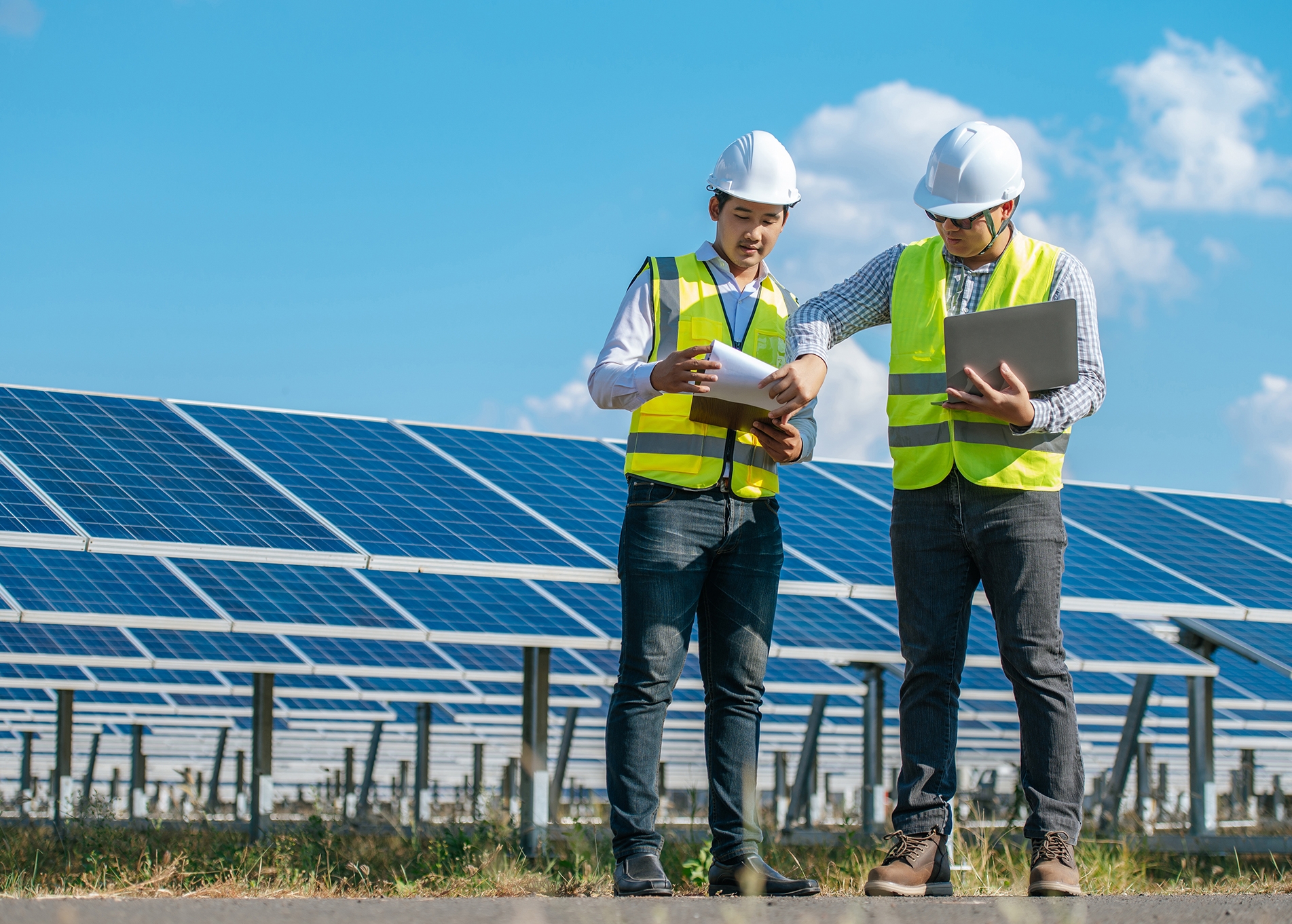 Standard the Chunk of Ipsum Standard the Chunk of Ipsum