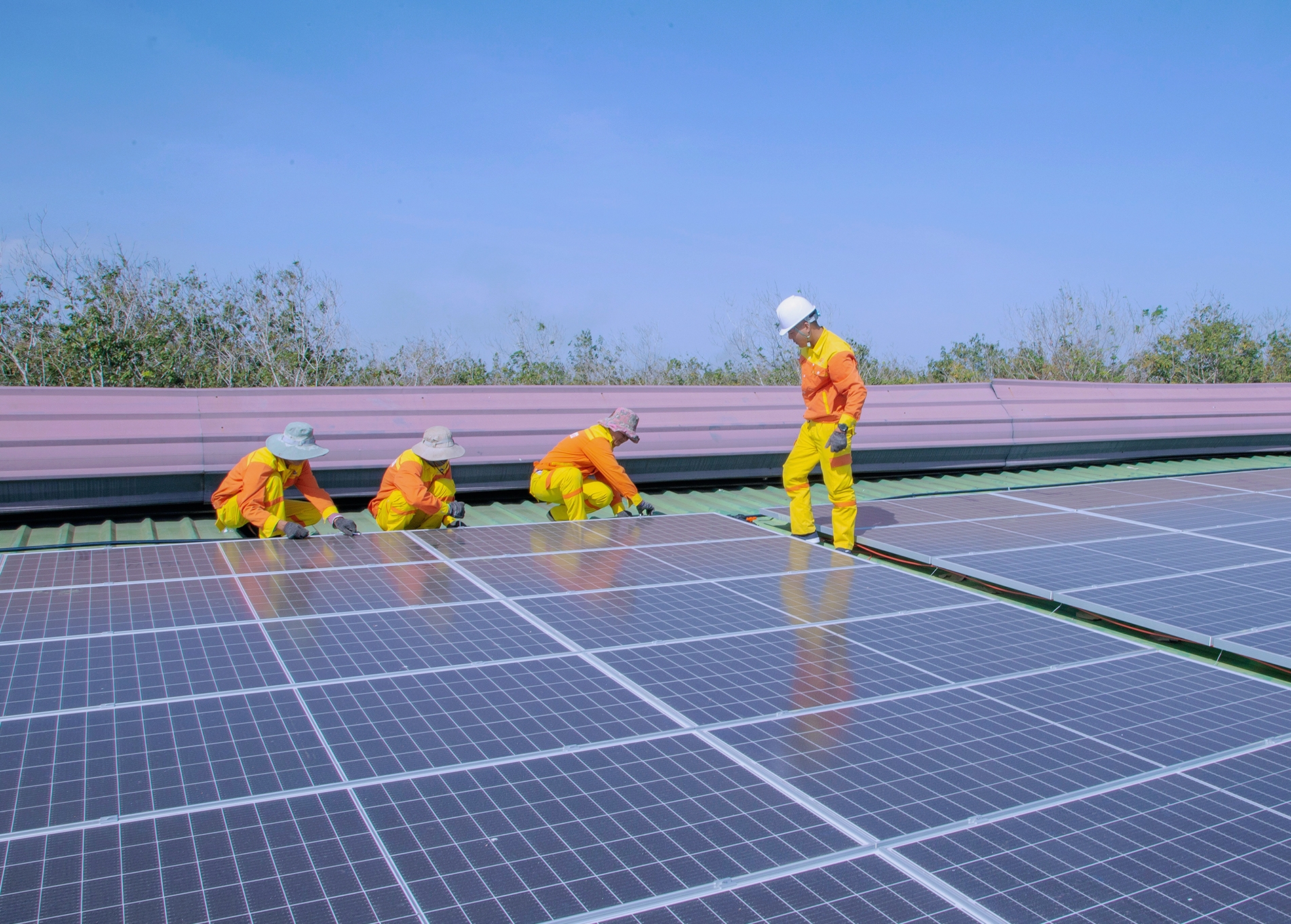 Unique in Colors Velit Unique in Colors Velit